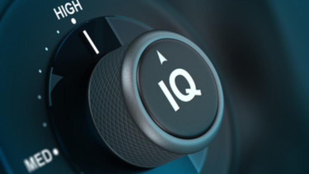 what is the highest iq you can have (1)