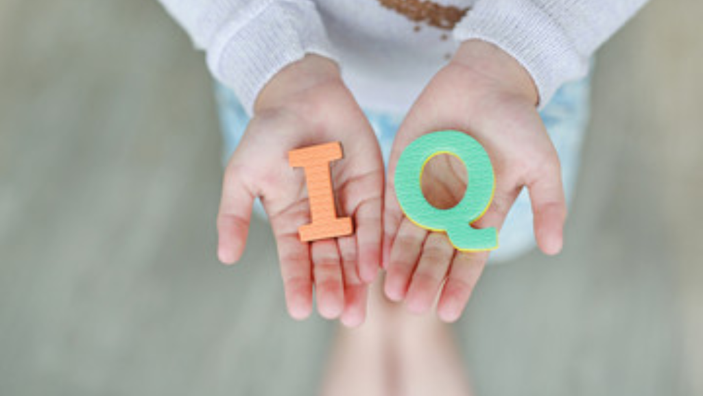 What Does the Q in IQ Stand for